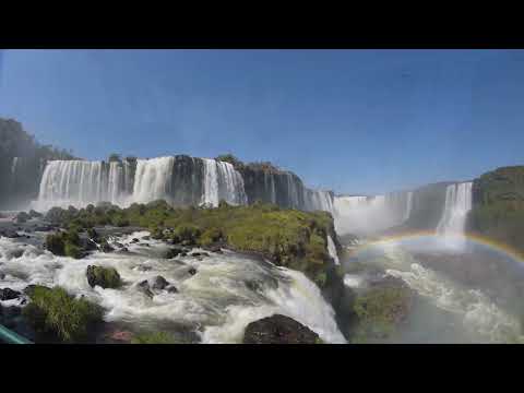 Conforto  (Padrinho Alfredo/Arranjo: Ricardo Lessa)