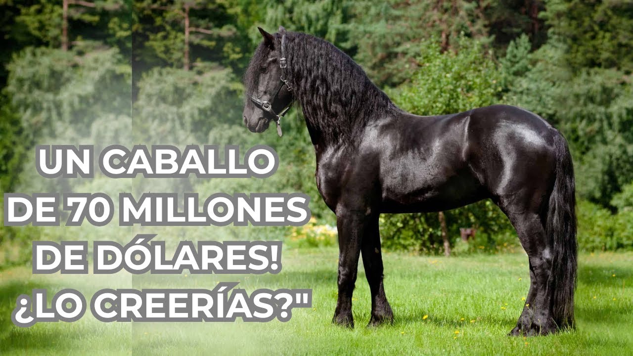 ¡Los 5 Caballos Más Caros del Mundo!