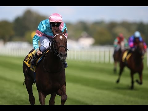 Baden-Baden: BBAG Auktionsrennen Iffezheim (C) - Siegerin: Peace of Paradise