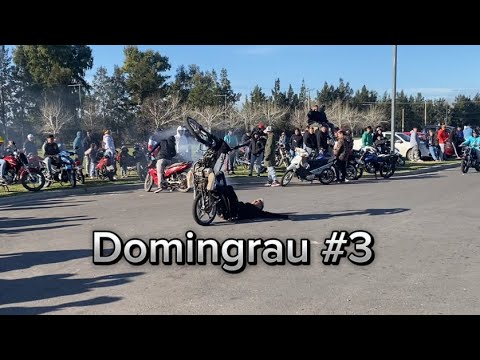 Domingrau #3 / Mucho Stunt , Caida y Fuga 🚔
