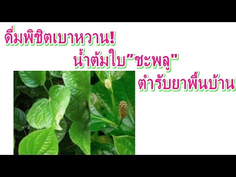 ขนาดใหญ่รูปภาพตื่นเต้นสาวหี ซื้อเชื้อโรคชายหยด
