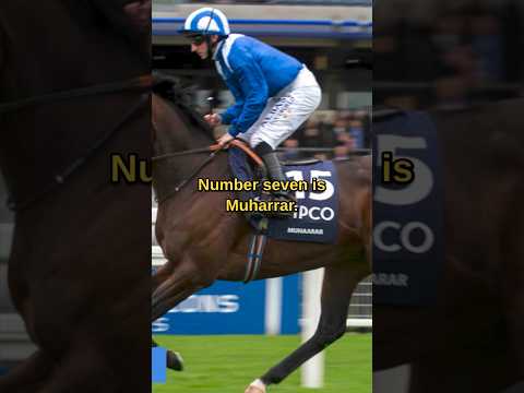 Muhaarar 🐎 #horseracing #horserace #racehorse #ascot #muhaarar
