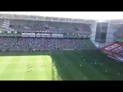 Maria Eu Sei Que Você Treme! Galo 2x0 Tupi - Mineiro 2015