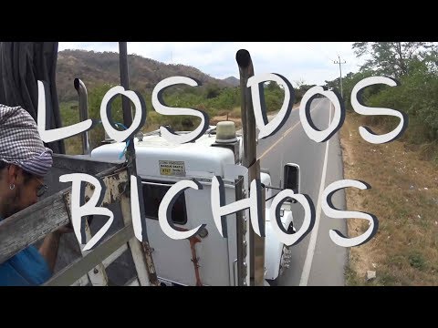 Los Dos Bichos - Chapitre 7 : Colombia a dedo (en stop)