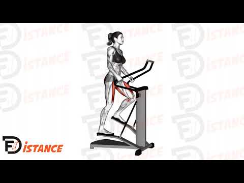 Exercice Stepper