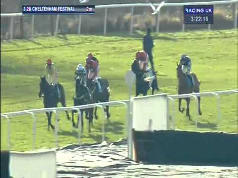 Cheltenham Festival 2013 - Sportingbet Queen Mother Champion Chase - Sprinter Sacre