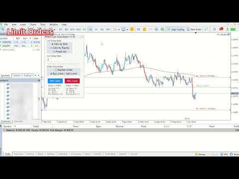 Video Simple Trading Lot Panel