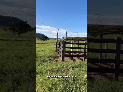 Fazenda luxo 12 km da cidade, a venda de 447 há em Rondônia, farm for sale in Brasil