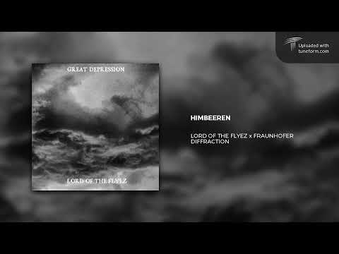 LORD OF THE FLYEZ x FRAUNHOFER DIFFRACTION - HIMBEEREN (2014) | Darkwave // Witch House