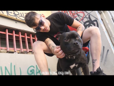 MARAMEO -GRINGO FEAT LB PRADA  - (official video)