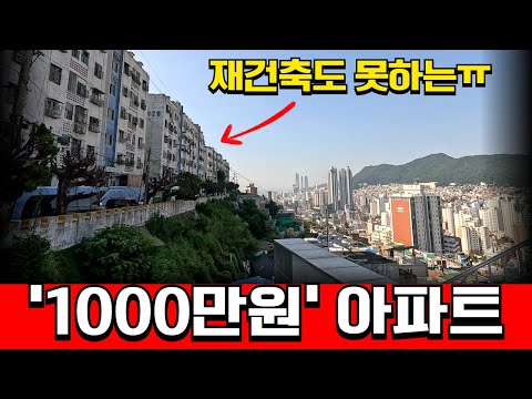 천만원에 팔린 부산 아파트 내부 모습.. 재건축 하지 못하는 진짜 이유?