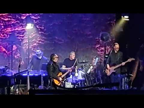 ELVIS COSTELLO & THE IMPOSTERS Surrender to the Rhythm/You Belong to Me LIVE 2/20/23 Gramercy NYC