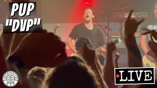 PUP &quot;DVP&quot; LIVE
