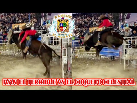 IVAN EL TERRIBLE DE ACAPULCO VS EL COQUETO CELESTIAL DE RANCHO EL AGUAJE EN PICO RIVERA USA 2025