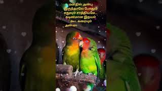Download lagu Good morning wishes with quotes in tamil. Whatsapp status. Good morning quotes. #trending #viral mp3 Download lagu Good morning wishes with quotes in tamil. Whatsapp status. Good morning quotes. #trending #viral mp3