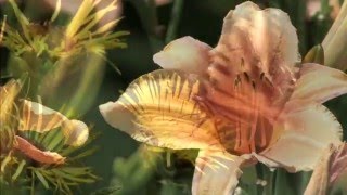 Discern the real you