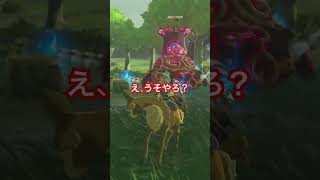 【 #ゼルダの伝説ブレスオブザワイルド 】うそやろ？