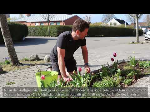 Hållbarhetsexperten tipsar -  Trädgårdsavfall