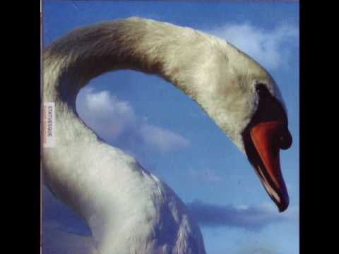 David Donohoe - Lest The Swan should Fall (DONE030)