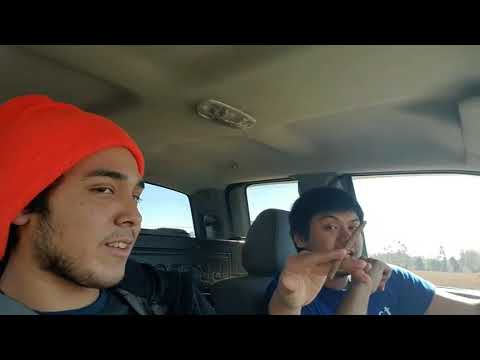 White owls and swisher sweets: A review