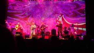 Strawberry Alarm Clock - "Rainy Day Mushroom Pillow"