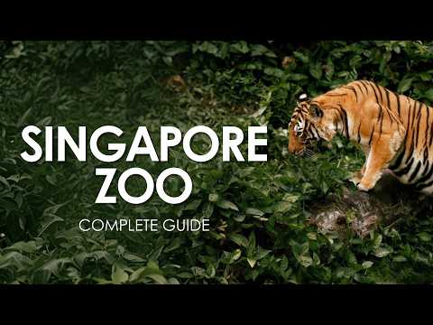 Singapore Zoo, Full Experience