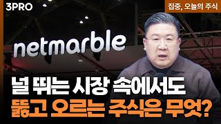 넷마블•한화솔루션•KB금융•셀트리온 | 차영주 와이즈경제연구소 소장 [집중 오늘의 주식]