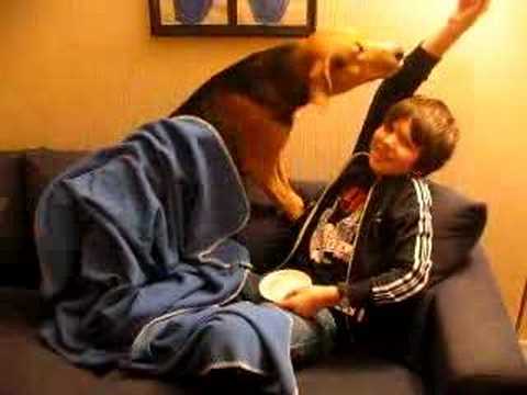 attacking blanket - Tassen