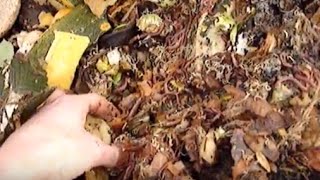 How to make a worm bin/ barrel / farm !