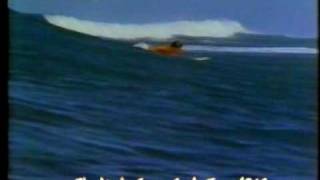 The Lively Ones - Surf music