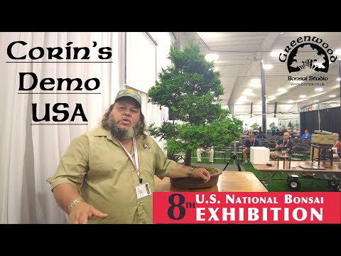 Hinoki Cypress Demo at the US National Exhibition