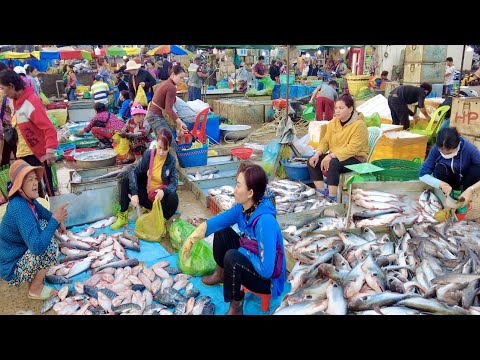 Morning Fish Market Scene: Distribution Site, Fresh River Fish & More | Phnom Penh