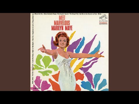 Happiness Is a Thing Called Joe