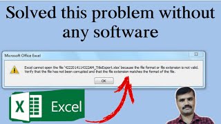 excel cannot open the file because the file format or file extension i