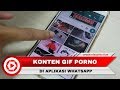 Konten Porno GIF Hebohkan Pengguna WhatsApp Indonesia