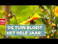 Wat is een natuurtuin?  | ROEG! | RTV Drenthe