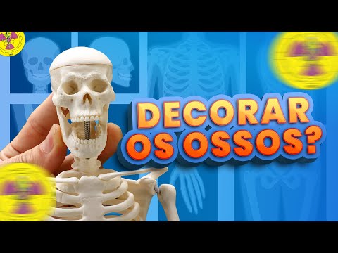 DECORATE THE BONES OF THE HUMAN BODY? | X-raying