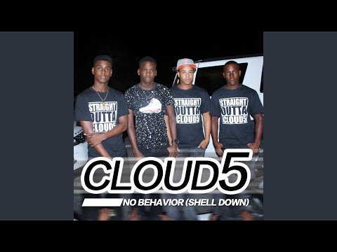 No Behavior Shell Down