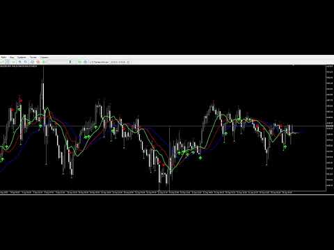 Video Golden Wolf Trend Signals