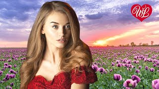 Я ЛЮБИМУЮ СВОЮ БОГОТВОРЮ ♥ УДАЧНЫЕ ДАЧНЫЕ ПЕСНИ НА РАДИО ДАЧА ♥ DISCO ДАЧА ♥ RUSSIAN MUSIC HITS WLV