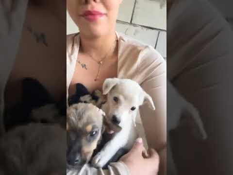 Obrazek poglądowy filmu YouTube