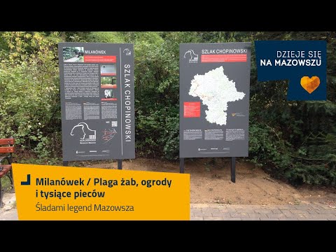 Śladami legend Mazowsza - Plaga żab, ogrody i tysiące pieców / Milanówek