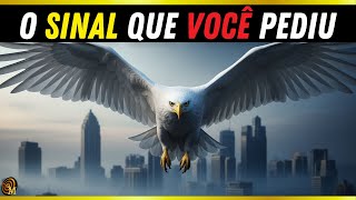 Entenda os SINAIS: Deus também fala no Silêncio