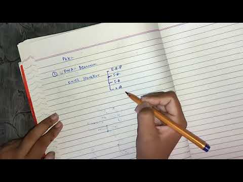 Endocrine pharmacology diabetes type 1, #endo_pharma #katzung #lippincot #pharmacology