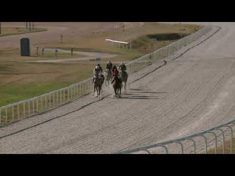 2021.09.19. 07. futam -  TORNYOSLÖBI HENDIKEP (V/b.) (szintetikus pálya)