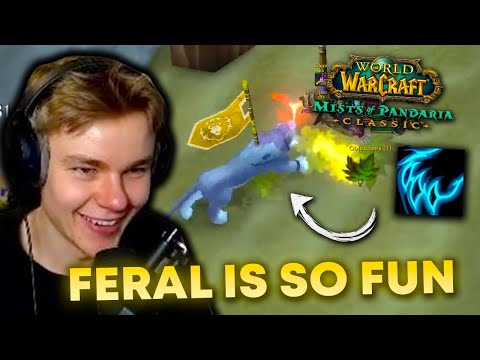 This is Why I Love Feral Druid in Mists of Pandaria Classic