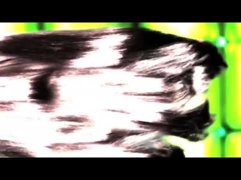 Sunsilk TVC 2009 “Record Breaker”