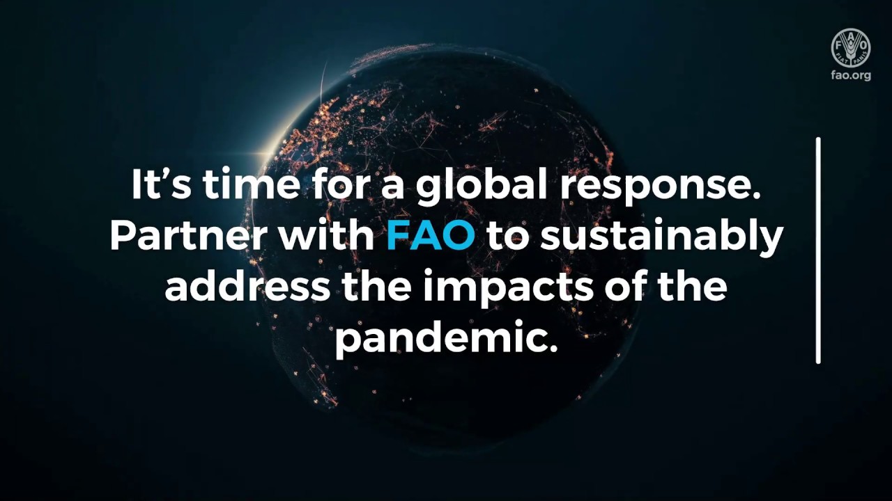 FAO COVID-19 Response Event