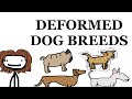 Dog Breed Deformities