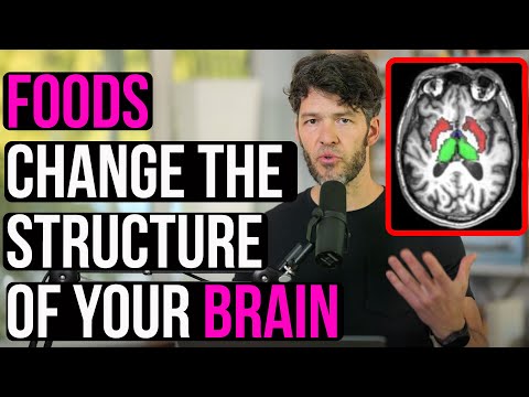 Diet & Mental Health: Vegan VS Omnivore Diet Change Brain Structure, New Study